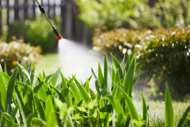 24/7 Emergency Mosquito Control experts in Sheldon, IA