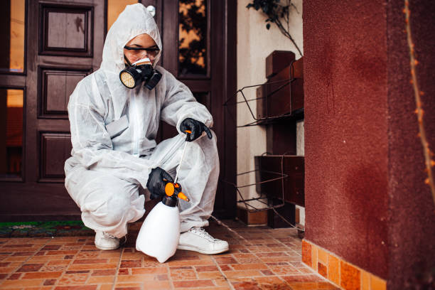Reliable Mosquito Control contractor in Sheldon, IA by Show Me Pest Control